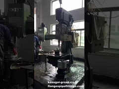 Perfuração de buracos por parafusos de flanges de aço inoxidável/aço carbono